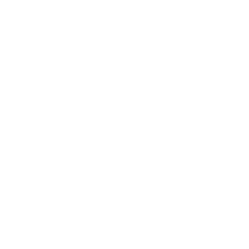 pa llp white logo